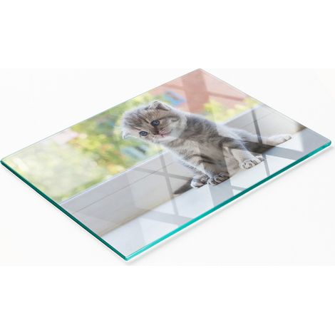 Tablero decorativo de cristal para aperitivos con forma de ventana para gatos peque帽os, 80x52 cm.