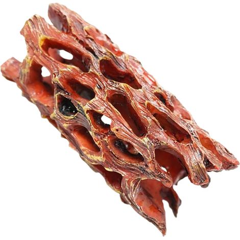 pour Crevettes Daquarium Maison Dcorative pour Poisson (1/5)