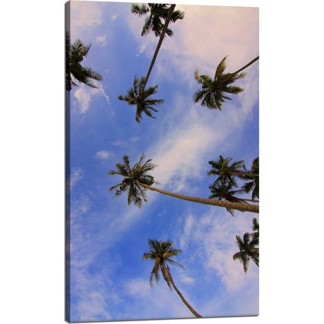 Leinwanddruck Natur Kokospalmen 60x100 cm