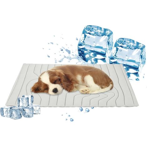 Tapis Rafraîchissant pour Chien  Double Face Portable Antidérapant  Été Chenil Chat Tapis Rafraîchissant  Pour Petits Moyens Grands Chiots Chatons Intérieur Caisse Chenil Maison Voiture Cage (1/5)