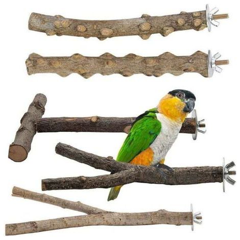 5 Stück Vogelstangen aus Naturholz, Vogelzubehör, Sittiche, Vogelspielzeug, Stehklettern, Vogelkäfig