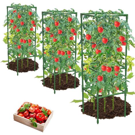 Lot de 3 cages à tomates – Supports carrés pour plantes grimpantes, légumes et fleurs – Extra stables et durables (1/5)