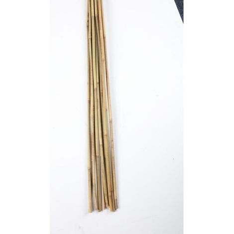 10er Set Bambus-Stangen L 90cm, ø 8-10mm Rankhilfe Pflanzenstab Stange Stütze (1/5)