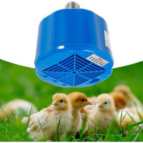 Lampe chauffante pour volaille - Lampe chauffante de Culture 100-300W, pour Animal Domestique, Outil de Lampe chauffante pour (1/4)