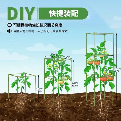 Support carré en fibre de verre (32 x 123) pour plantes grimpantes, concombres, tomates, etc. - Accessoire de jardinage (1/4)