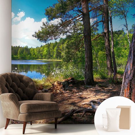 Tapete Tapete Vliestapete mit Kleber - Fototapete mit Motiv - Wandtapete modern - Wanddeko Waldlandschaft 250x250 cm (1/5)