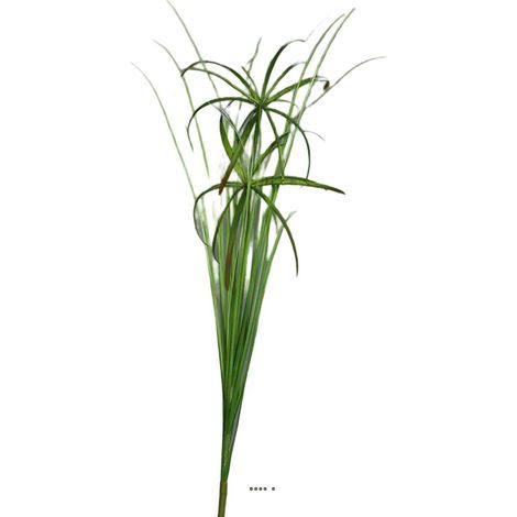 Branche de Papyrus artificiel H 67 cm 2 têtes (1/3)