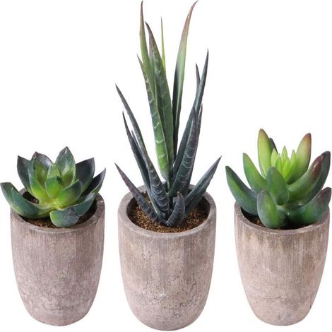 Plante Succulente Artificielle - Pot En Plastique ABS - Décoration Intérieure Bureau Maison Balcon - Lot De 3 (1/5)