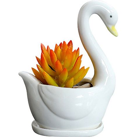 Pot de Fleurs Ceramique Swan Pour Plantes Succulentes Décoration Maison Fenêtre Table Cuisine Blanc Pot d'Ornement Original Design Modèle Swan Materiel Ceramique Dimensions 15x10cm Quantité 1 Pièce (1/5)