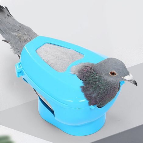 Support D'Injection Pigeon en Plastique Porte-Pigeon pour Nourrir Les Médicaments Et L'Injection Cadre Fixe pour Oiseaux Et Pigeons Facile À Nettoyer Et À Ranger 5.91 X 4.72 X 3.94 in (1/5)