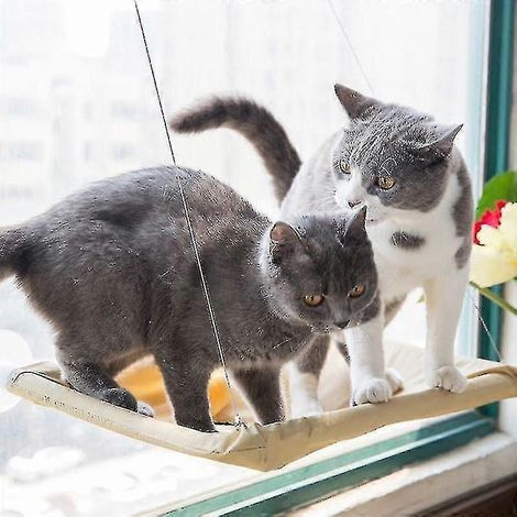 Hamac pour chat à ventouse, à fixer au mur ou à la fenêtre, lit suspendu pour chaton, siège ensoleillé (1/5)