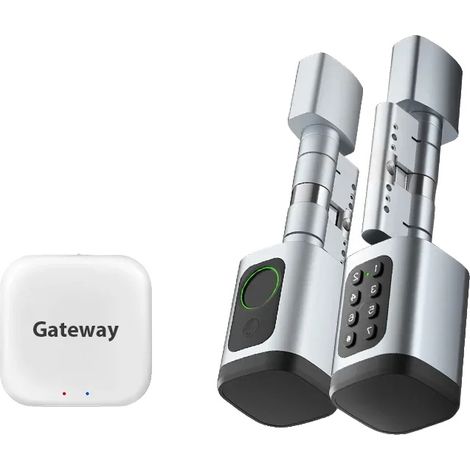 Serratura intelligente, 5 metodi di sblocco, facile installazione, argento e Gateway, versione regolabile. (1/2)