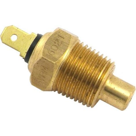 Interruptor temperatura VAPORMATIC VPM6021