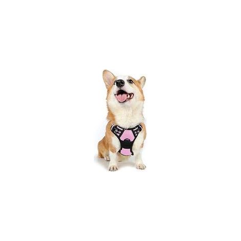 Harnais chien anti-traction rose M, gilet réfléchissant réglable, attache devant, pour Bouledogue Français, Berger Australien, randonnée, voiture –