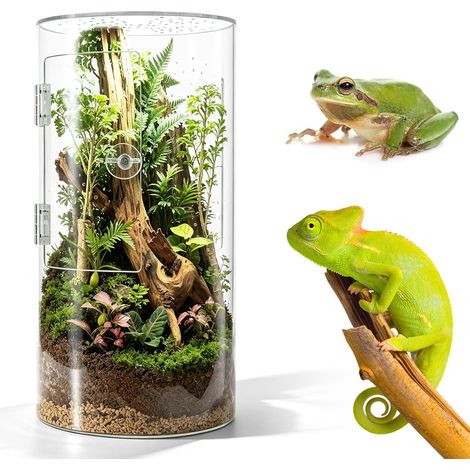 Terrarium Cylindrique, Vivarium Transparent 360 degres Boite Elevage Acrylique pour Reptiles Araignees Escargots Mante Religieuse Lezard Ouverture Frontale Ventilation Etanche Terrarium Escargot (1/5)