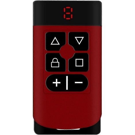 6-Tasten-Garagentor-Fernbedienungs-Duplikator 315 MHz-868 MHz B--
