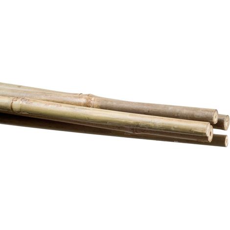 Stocker Bambus-Pflanzenhalter 16 18 mm 210 cm