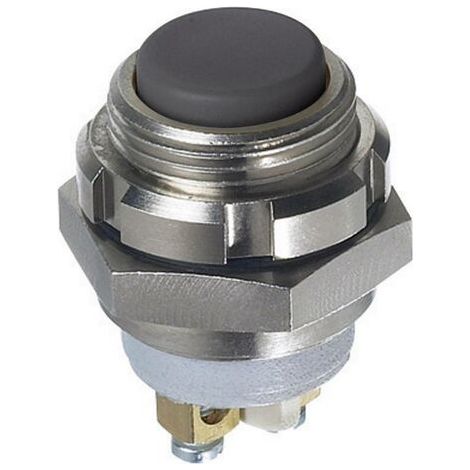 APEM IZMR3S41N IZMR3S41N Bouton-poussoir 250 V/AC, 48 V/DC 0.2 A 1 x Off/(On) à rappel IP67 1 pc(s) (1/2)