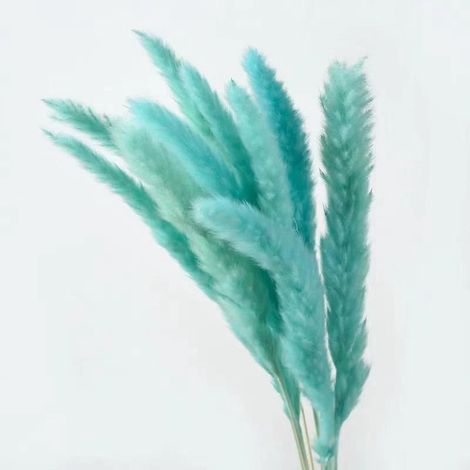 Bouquet de 10 herbes de la pampa séchées naturelles (bleues)