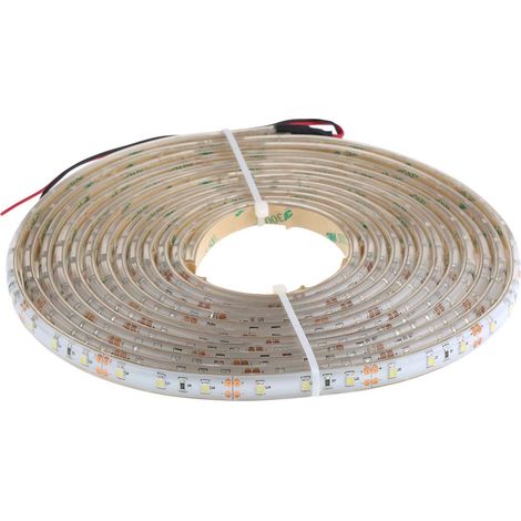 Ruban LED Blanc 5m 12V 5500  7000K, IP65 ( Prix pour 1 )