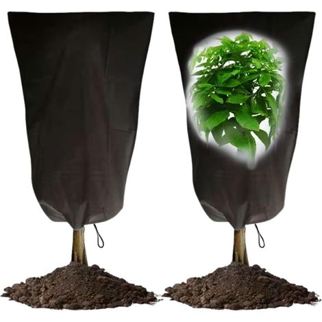 protections hivernales pour plantes 2 Pièces 120x80cm Voile Hivernage Plante Exterieur, Housse Hivernage Plante avec Cordon de Serrage,Housse d'hivernage pour Plantes en Pot Citronnier Arbustes(Vert) (1/5)