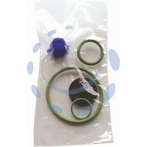 SET RICAMBI PER POMPE EROS VITON