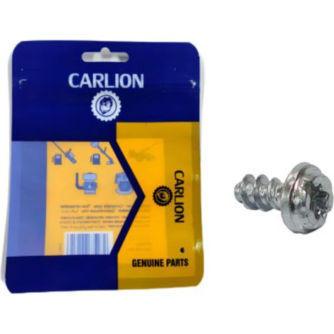 Vis 91040030410 pour tondeuses à gazon STIHL FS120 FS200 FS250 (vis FS120250 P3x6mm) (1/4)