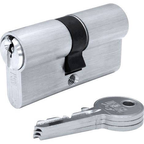 Cylindre F5s3030nc Nickel 60mm (30+30mm) Came Courte 13mm. Avec 3 Clés Serrette. Ifam (1/3)