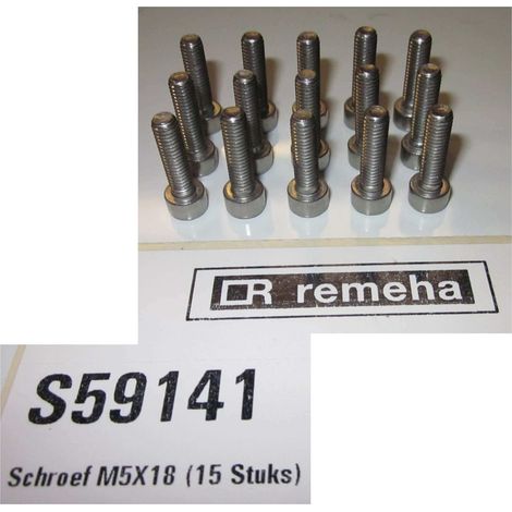 Remeha S59141 screw M5x18 (x15pcs)