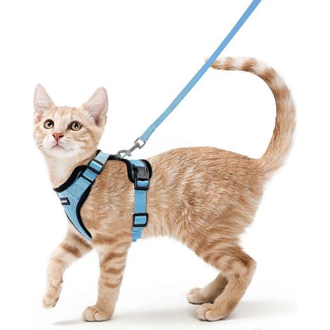 Ensemble harnais et laisse pour chat, harnais anti-fugue avec laisse, anneau métallique, léger et doux, gilet réfléchissant ajustable, taille S, bleu (AAA) (1/5)