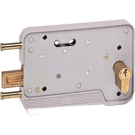 Tirard – Serrure électrique à cylindre européen réversible pour garage – Ouverture intérieure/extérieur – Coffre 150x105x19mm – Sens de pose réversible