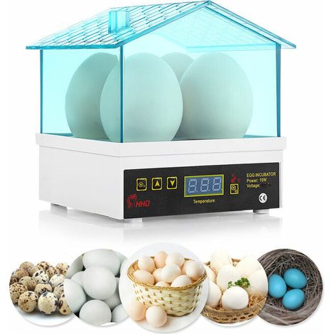 Mini incubatrice digitale automatica per uova Total Clearance, può far schiudere 4 uova contemporaneamente, incubatrice per pollame domestico