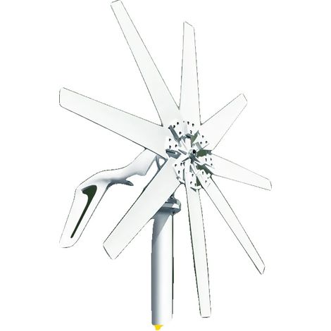 Générateur éolien, haute efficacité, prend en charge l'entrée solaire (1/2)