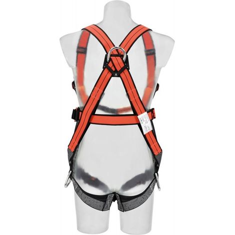 Harness Arg110 Ergotec Twinplus Cl.