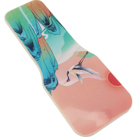 Planche de virage en plastique pour l'entraînement à l'équilibre en patinage artistique, outil d'entraînement pour gymnastes et patineurs artistiques, format paysage (1/5)