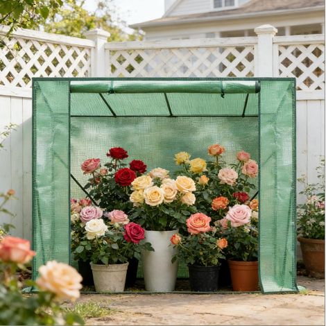 Serra da giardino con 4 ripiani 200x77x169 cm OKMYHOME (1/5)