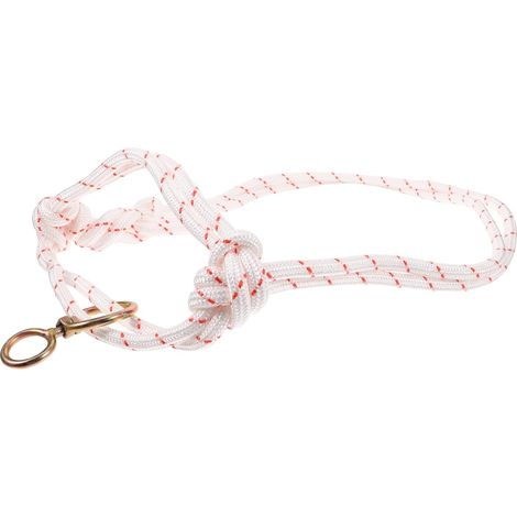 Licol de Traction pour Bétail en Nylon Léger et Confortable, Adapté la Forme Tête Bovin, Poids Supporté Jusqu'à 500kg, pour L'élevage en Extérieur (1/5)