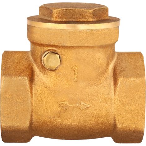 Clapet anti-retour à battant en laiton, filetage femelle DN25, 232 PSI, empêchant le refoulement d'eau. (1/5)