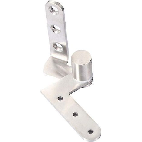 1 charnière de porte pivotante