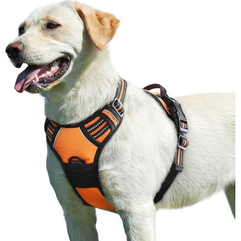 Harnais Chien, Harnais Anti Traction pour Chien Réfléchissant Réglable, Facile à Mettre, avec Poignée Contrôle, Arnet pour Chiens Solide Respirant, Harnet pour Chiens Moyen et Grand, Orange, L (1/5)