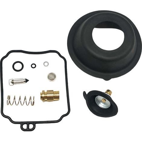 Kit orf réforrtiorn ctorrburtorteur - cormptortibgivthere XVS650 - F171 (1/4)