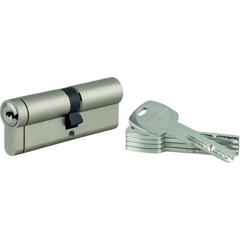 THIRARD - Lot de 10 cylindres Transit 1 40x50mm, nickelé, 5 clés - THIRARD