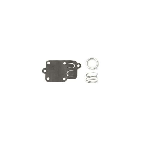 membrana del carburatore Briggs & Stratton