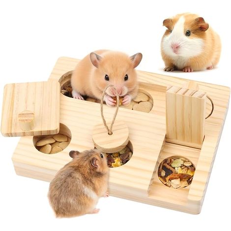 Food Dispenser Hamster Toy