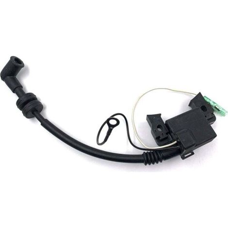 6BV-85571-01-00 Bobine D'Allumage avec CDI pour Hors-Bord F4 4 Temps (1/4)