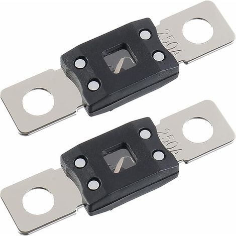 250A MEGA Fusible à Courant Élevé AMG 250 Ampères à Boulonner Pour Voitures, Camions, Véhicules de Construction, Autobus, Caravanes (2 Pièces) (1/5)