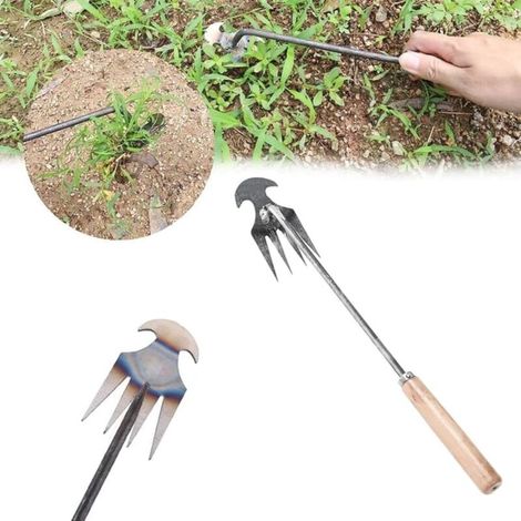 Outil manuel de désherbage extérieur – Désherbeur 4 dents – Pour jardin et pelouse, extraction des mauvaises herbes et racines(manche en bois 30 cm) (1/5)