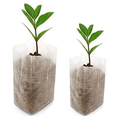200 Stück biologisch abbaubare Vliesstoffbeutel für Pflanzensetzlinge, Anzucht- und Aufzuchtbeutel (10 x 12 cm + 14 x 16 cm) (1/5)