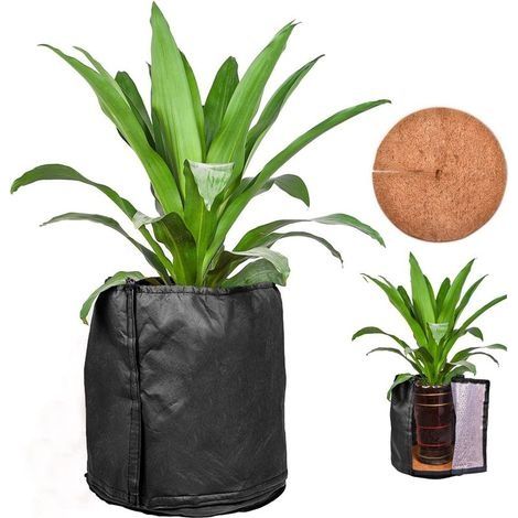 Sac de Protection Thermique pour Pot de Fleurs, Réutilisable Protection Hivernale des Plantes, Sac Protection Contre Le Gel Hivernal pour Plantes en Pot, Arbres, Arbustes 50x45cm (Noir) (1/5)
