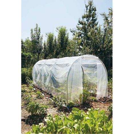 serra da giardino verdemax "spring maxi" con telo 200x450x175 cm (1/3)